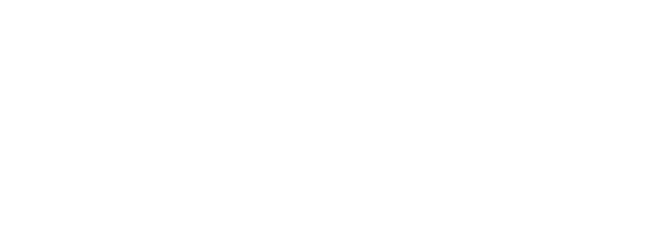 Swat Betriebsumzüge GmbH